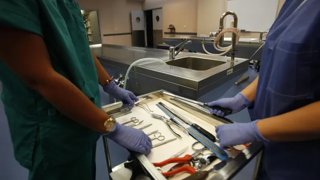 Restos humanos en contenedores: cómo trabajan los médicos forenses ante estos hallazgos